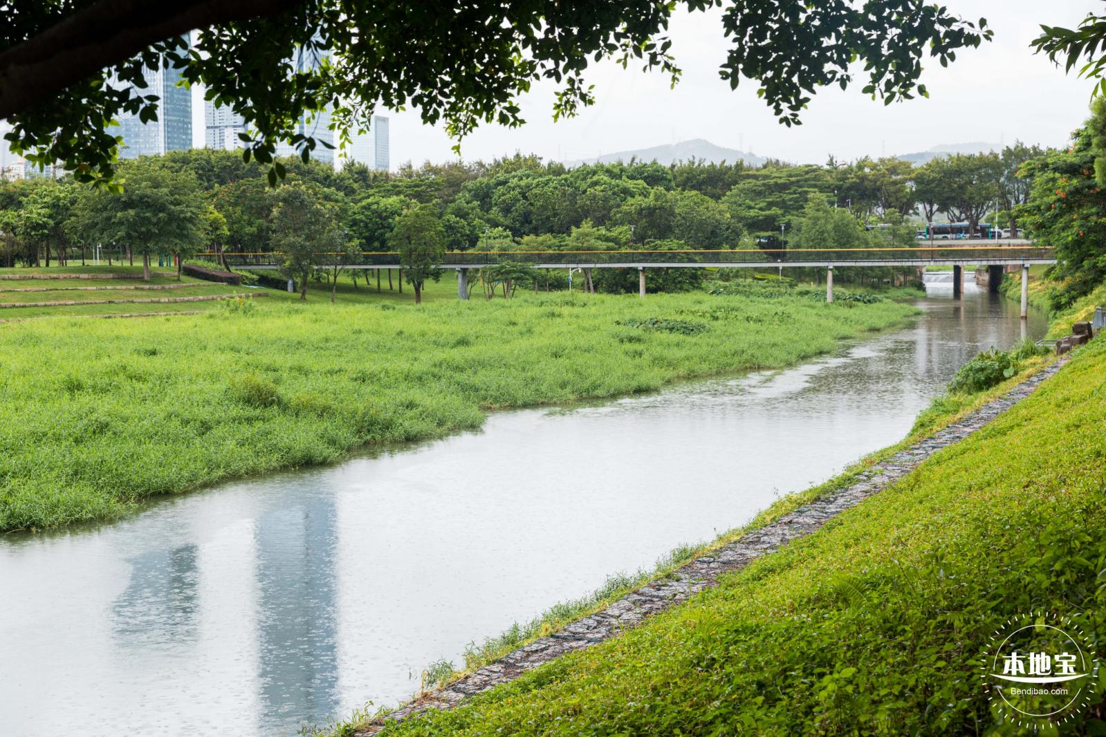 深圳中心公园