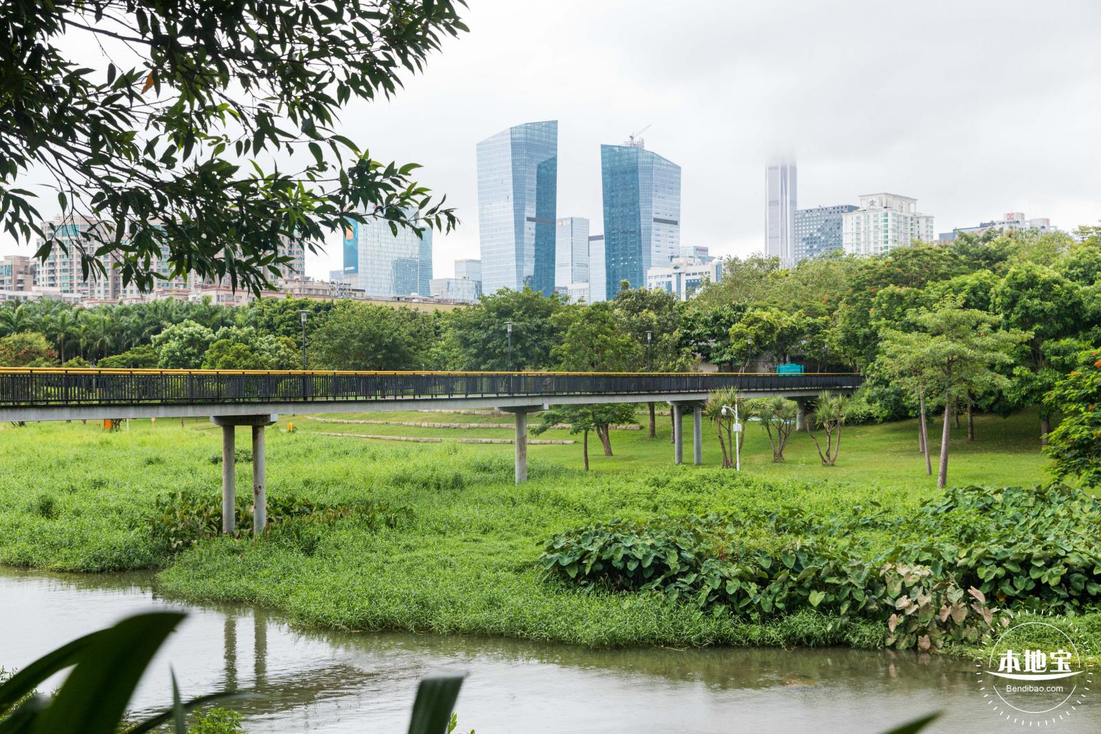 深圳中心公园