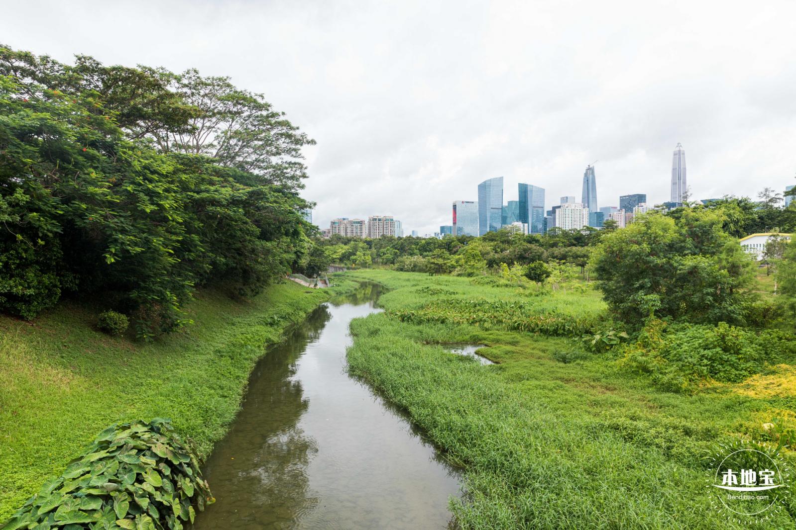 深圳中心公园