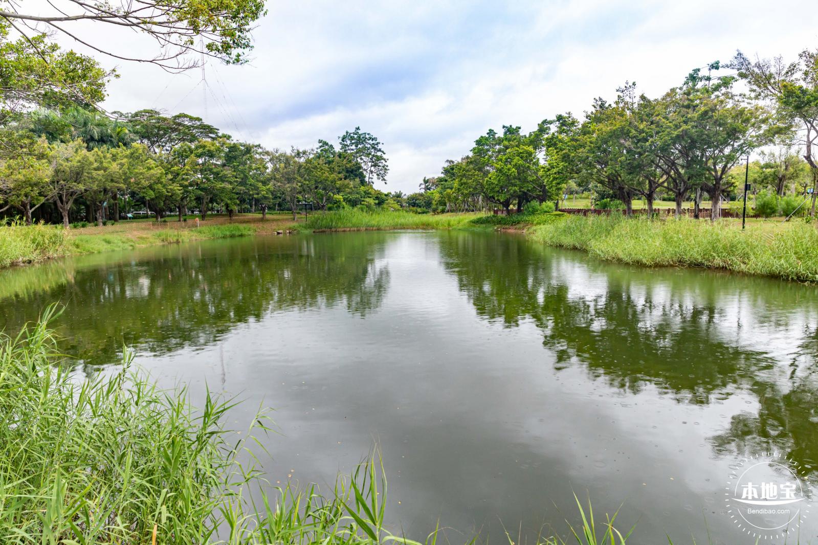 福田红树林生态公园