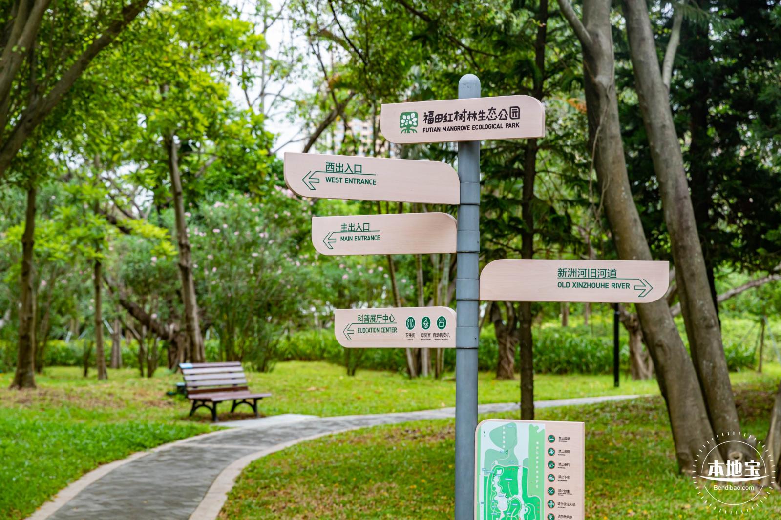 福田红树林生态公园