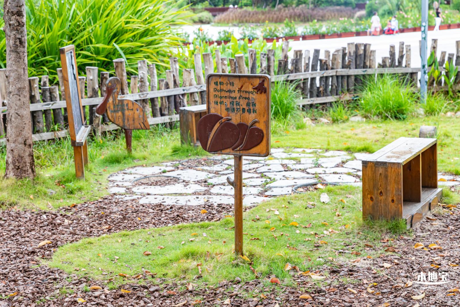 福田红树林生态公园