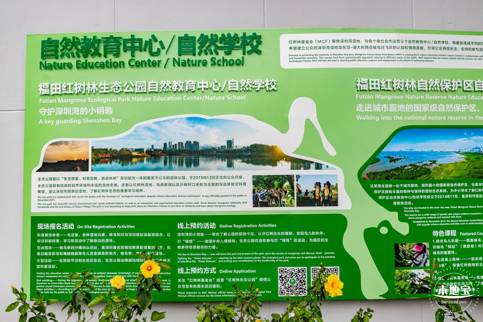 福田红树林生态公园