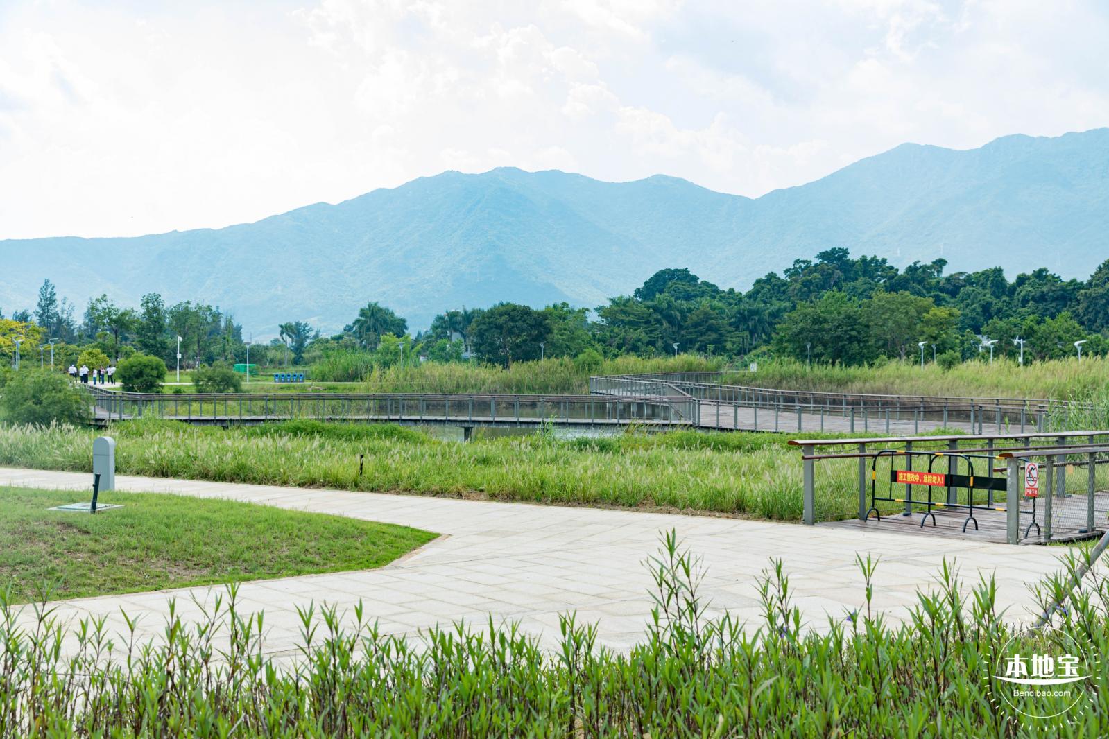 银叶树湿地公园