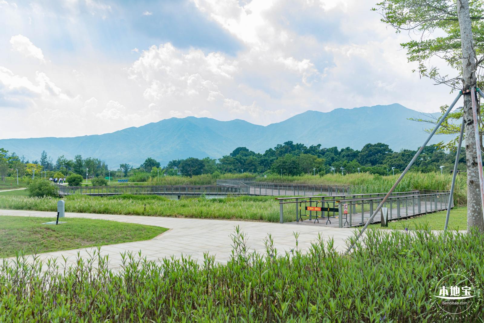 银叶树湿地公园