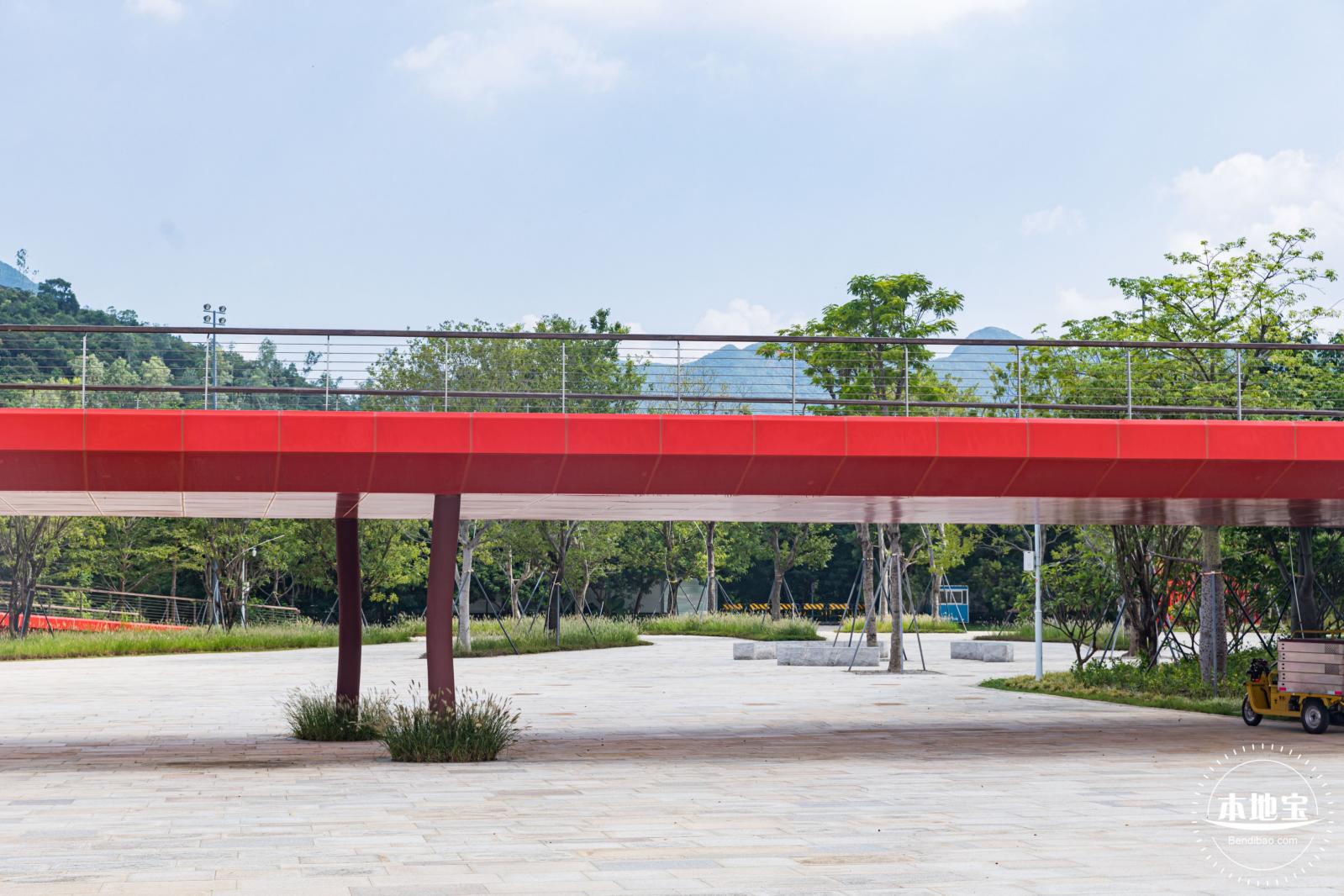 银叶树湿地公园