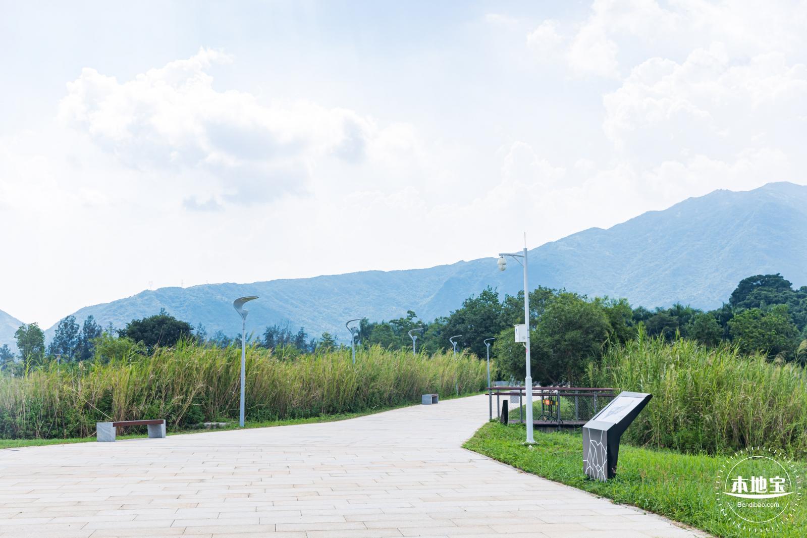 银叶树湿地公园