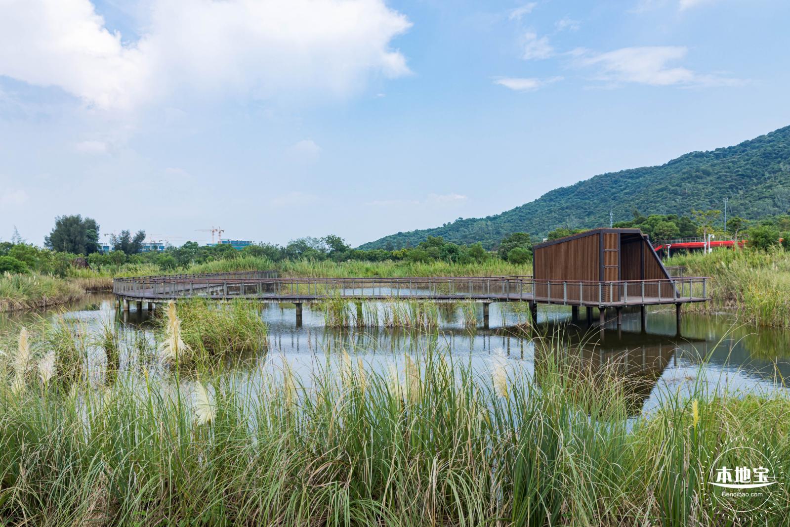 银叶树湿地公园