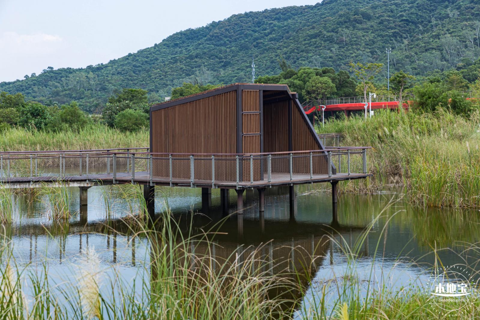 银叶树湿地公园