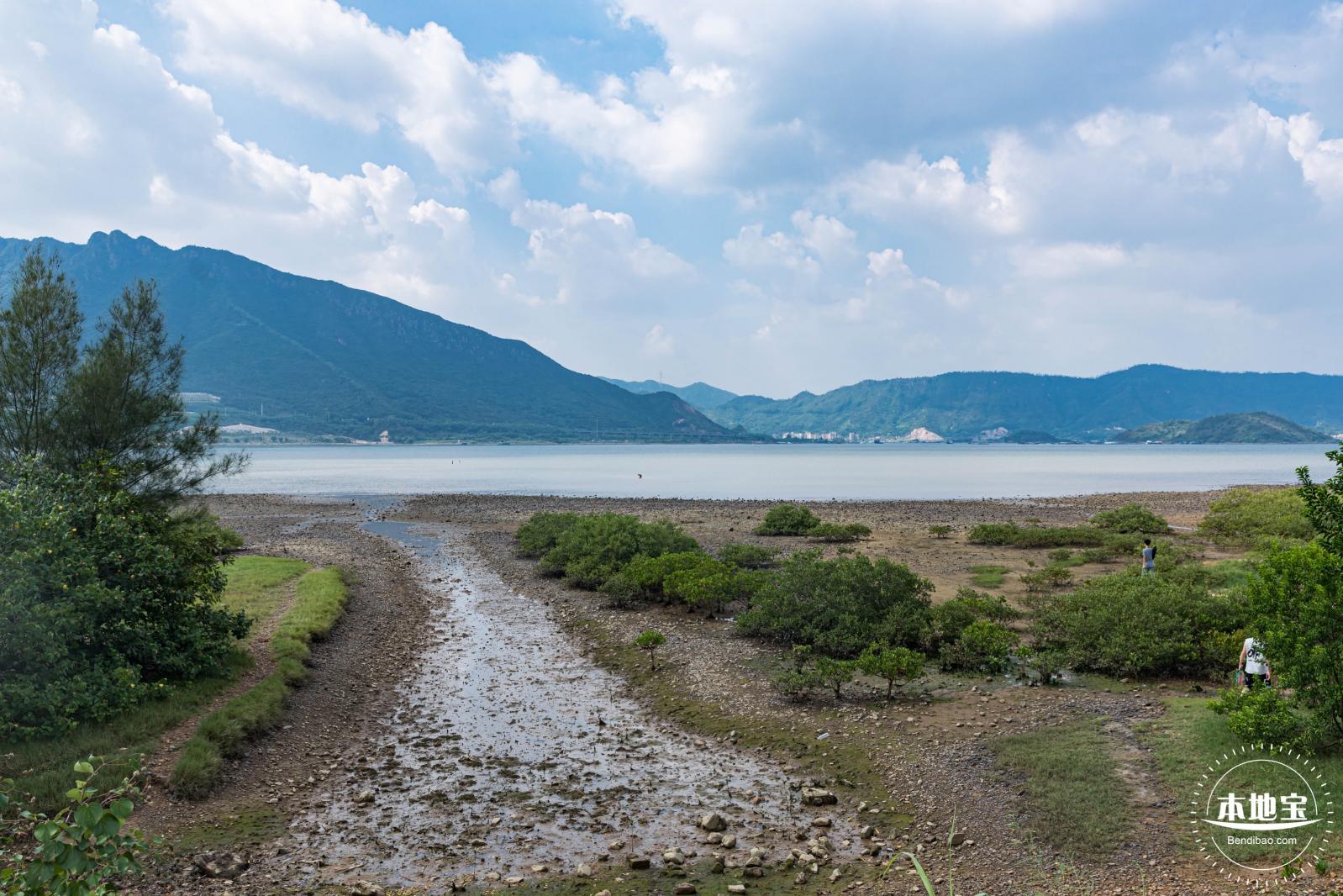 银叶树湿地公园