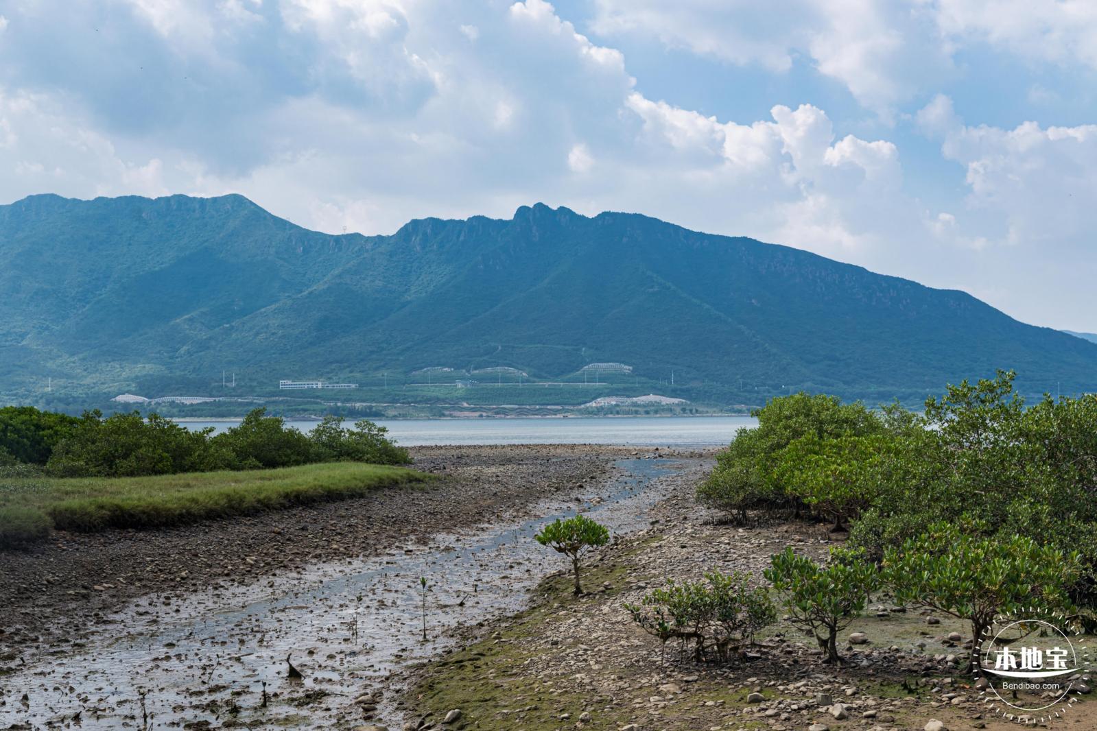 银叶树湿地公园