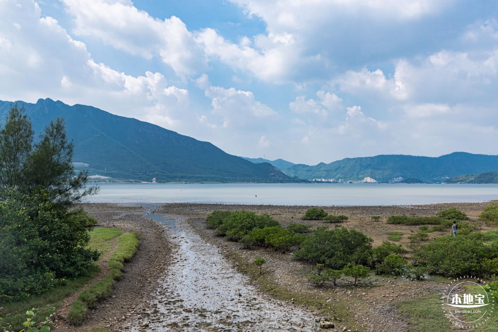 银叶树湿地公园