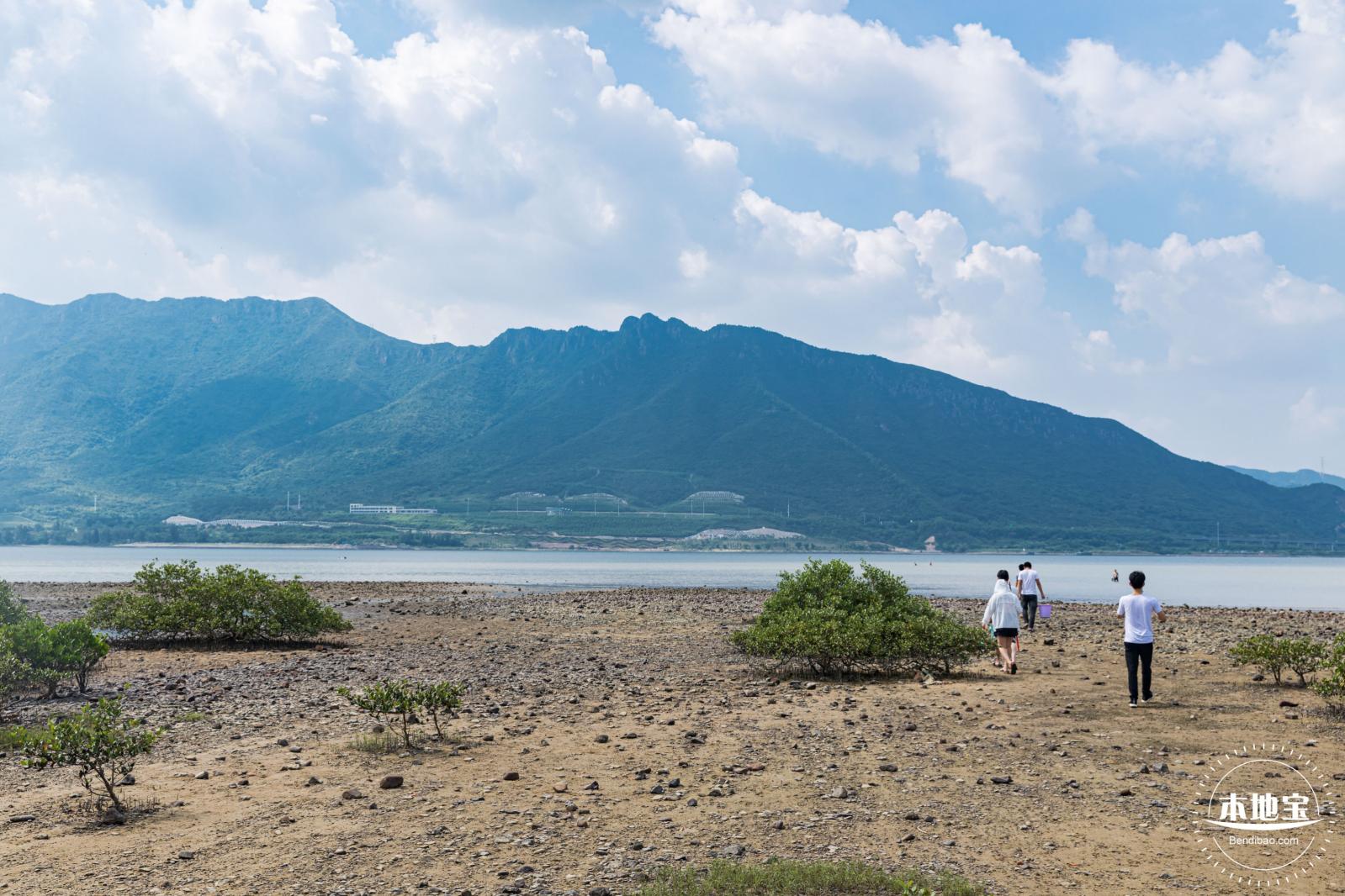银叶树湿地公园