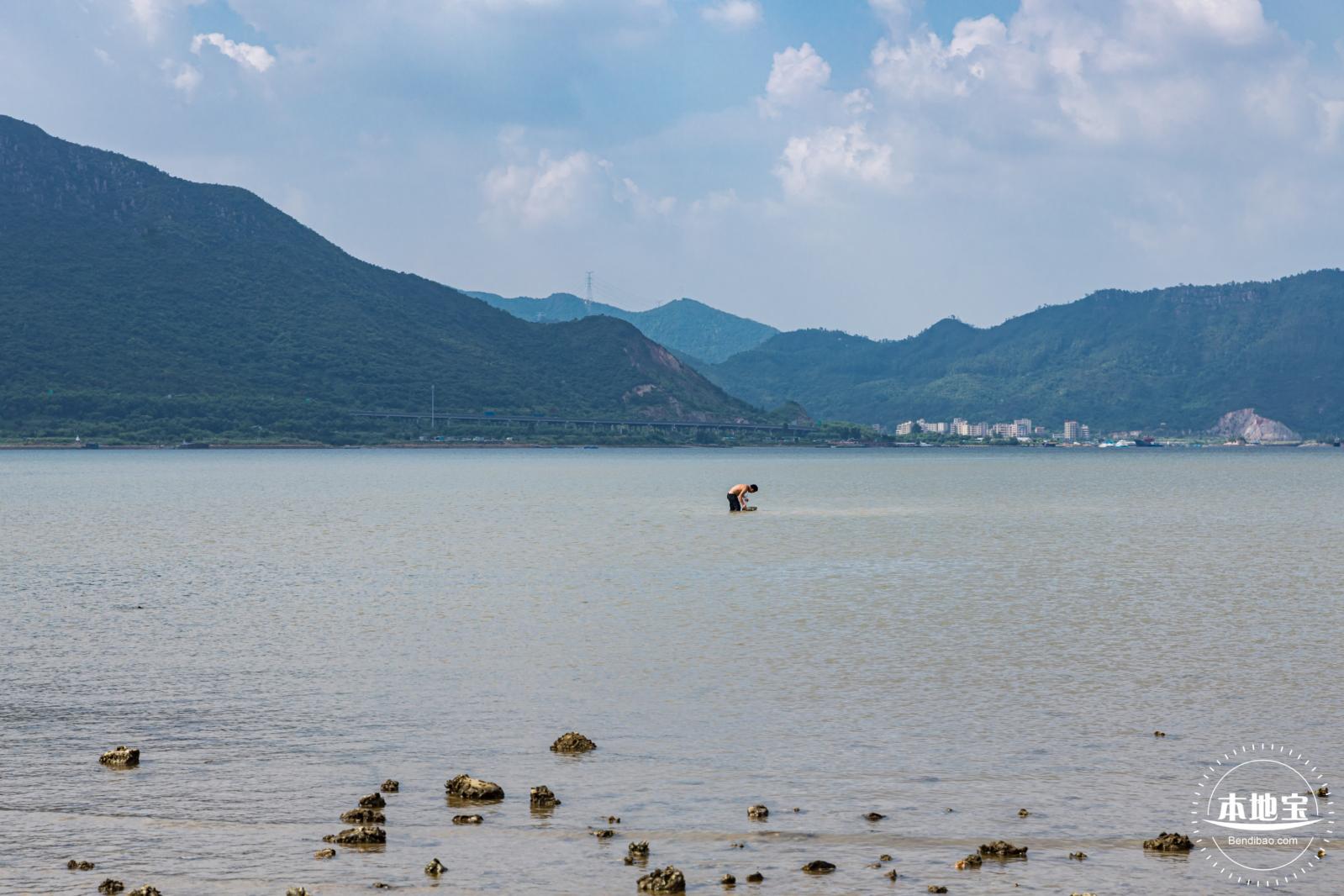 银叶树湿地公园