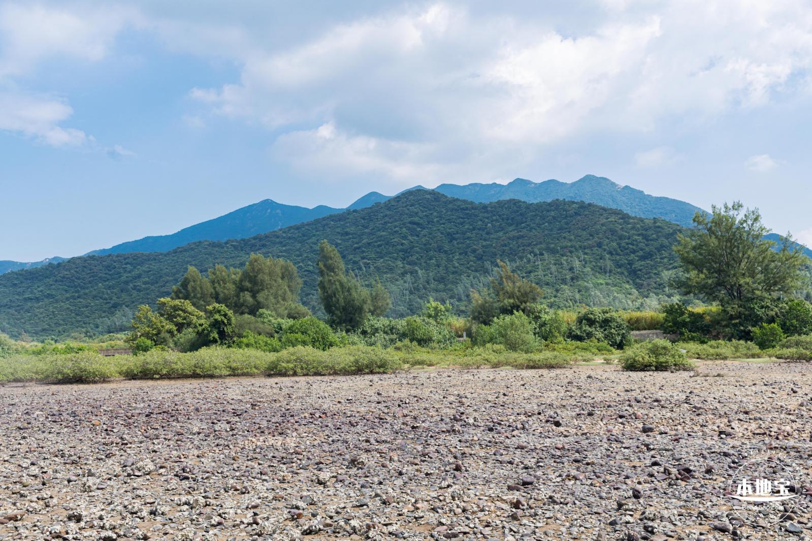 银叶树湿地公园