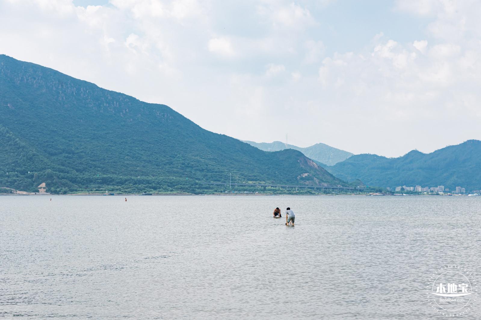 银叶树湿地公园
