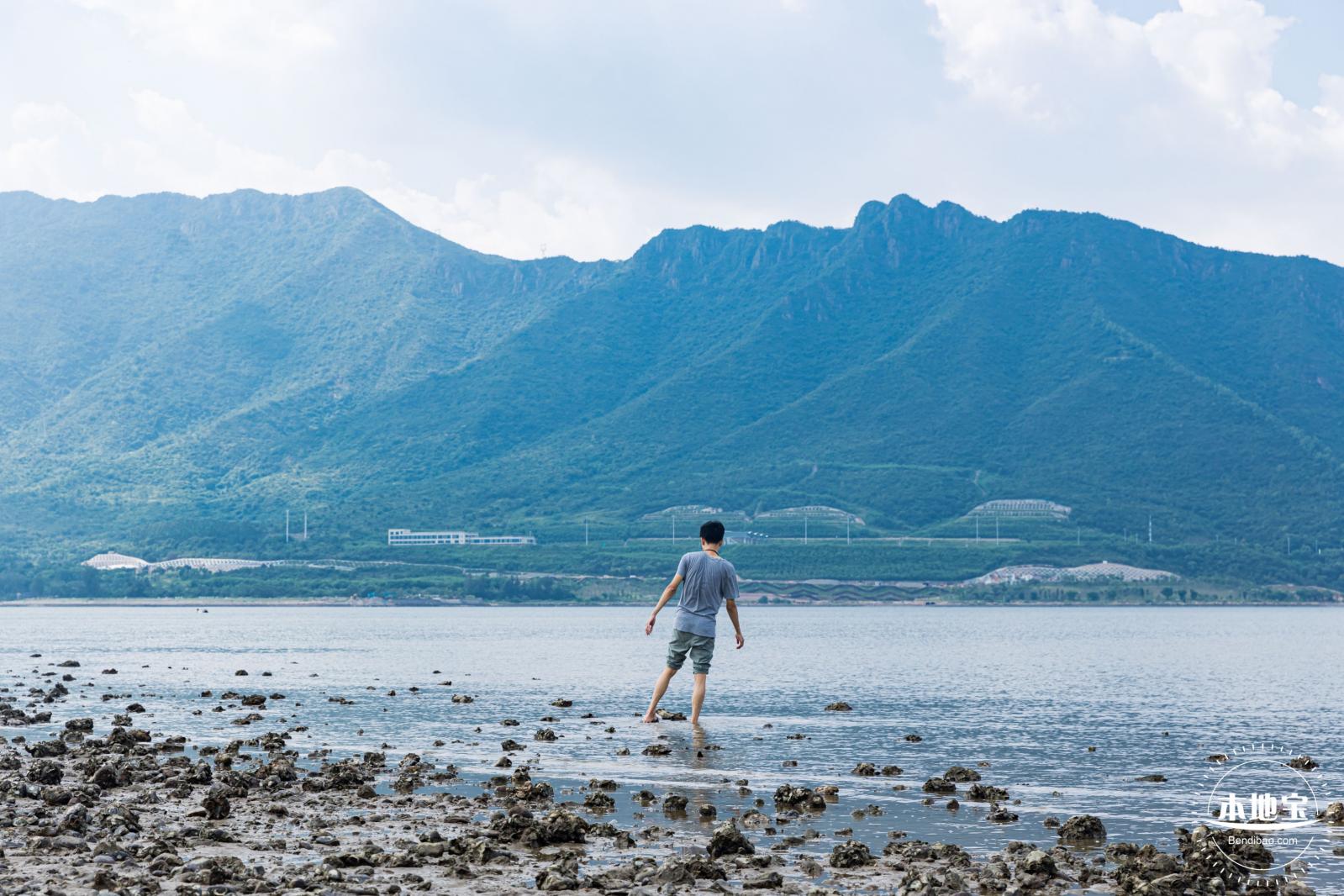 银叶树湿地公园