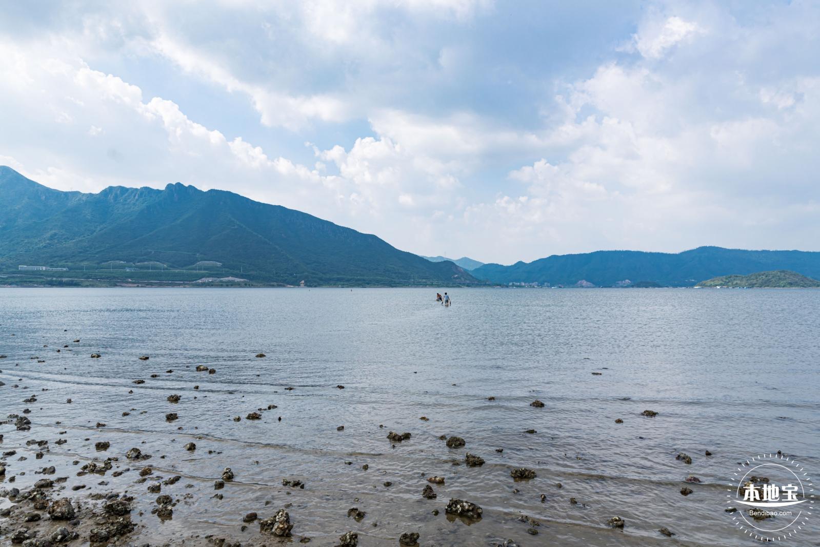 银叶树湿地公园