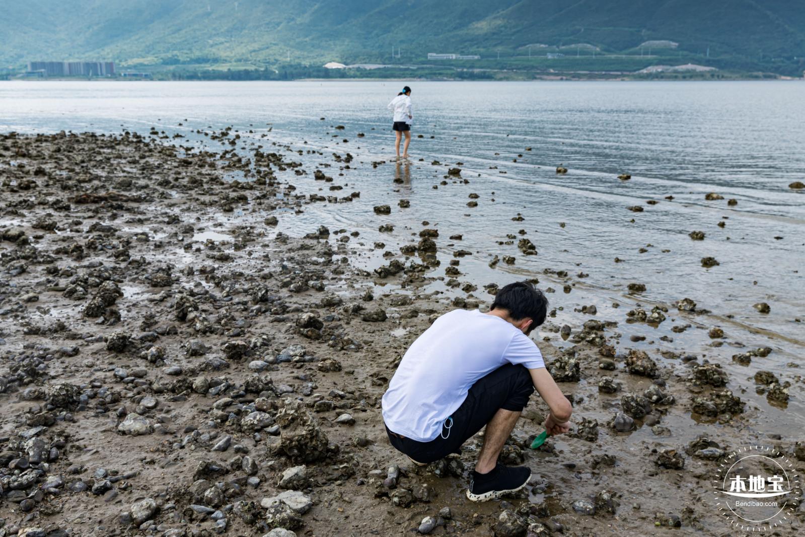 银叶树湿地公园