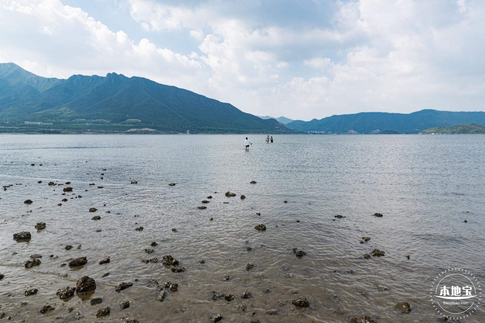 银叶树湿地公园