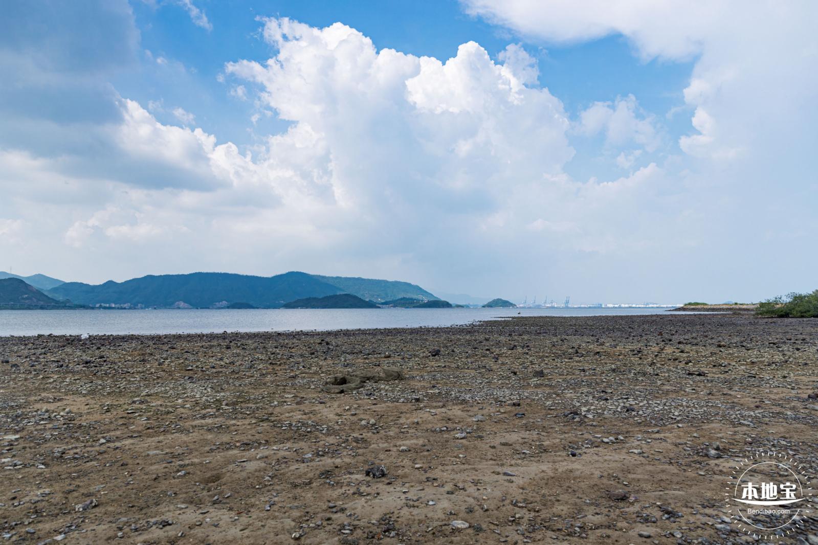 银叶树湿地公园