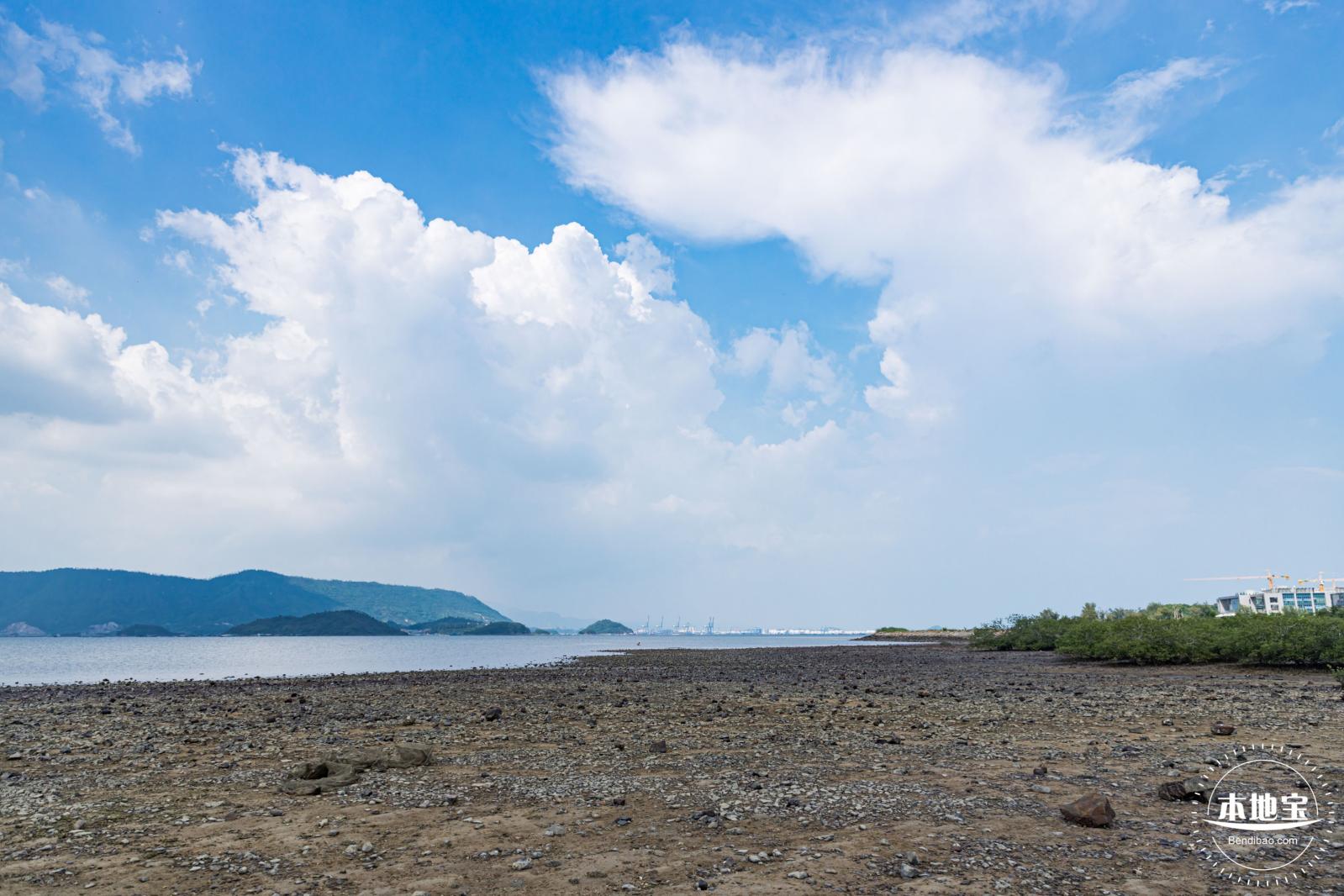 银叶树湿地公园