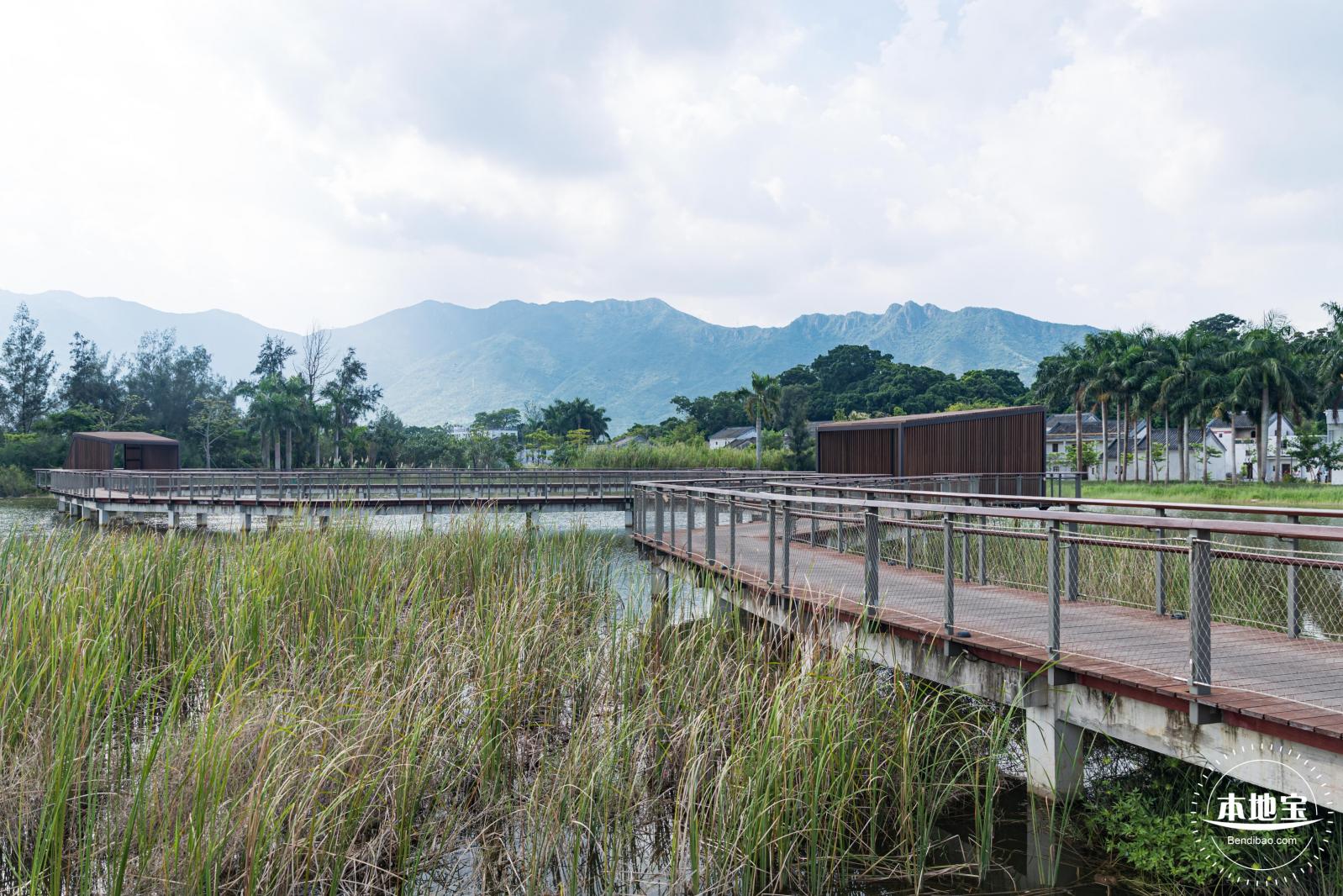 银叶树湿地公园