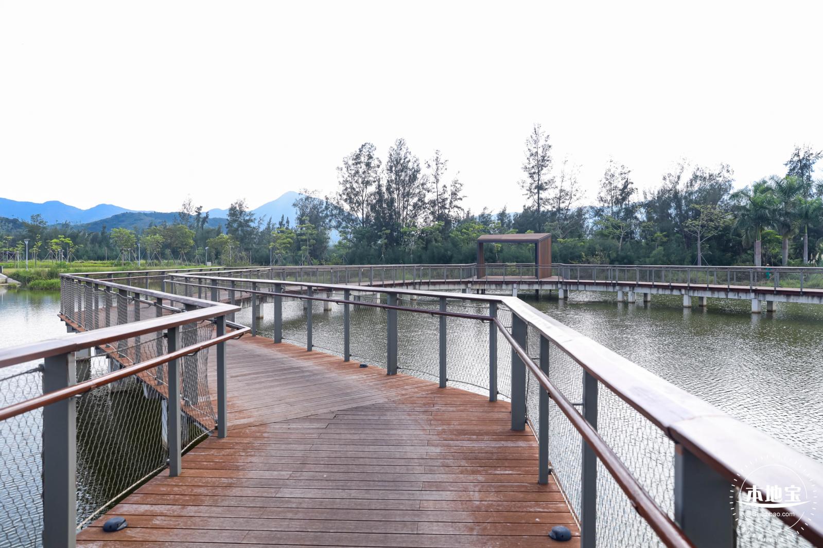 银叶树湿地公园