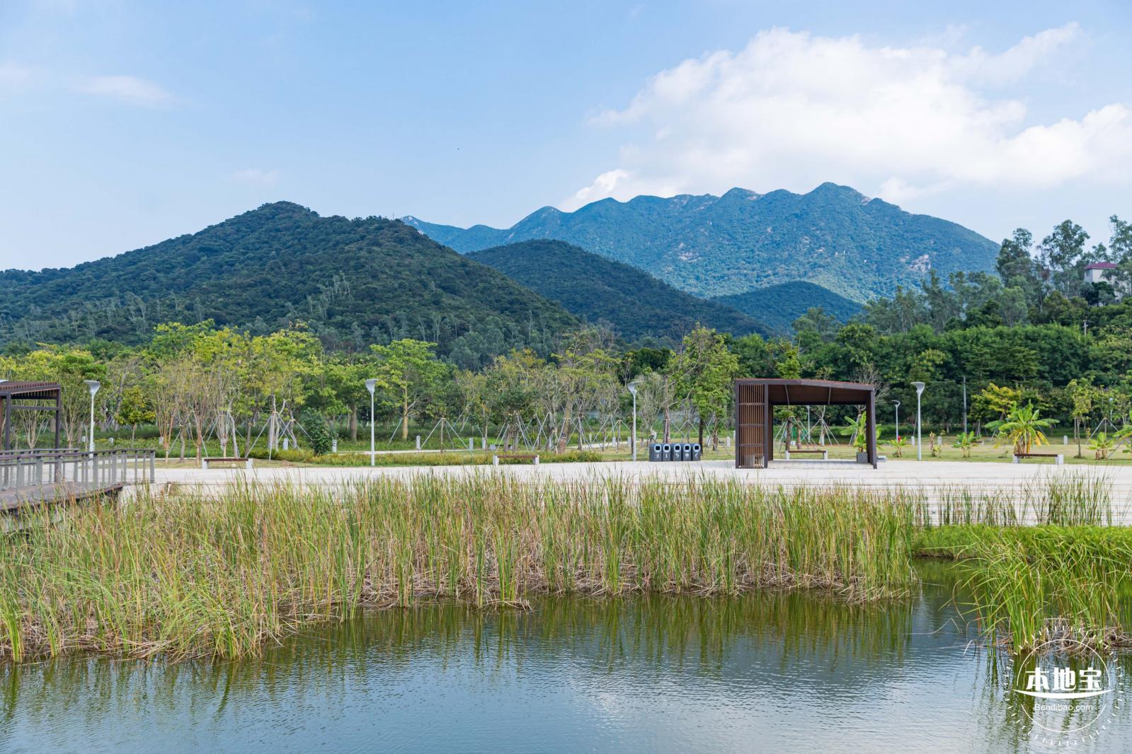 银叶树湿地公园