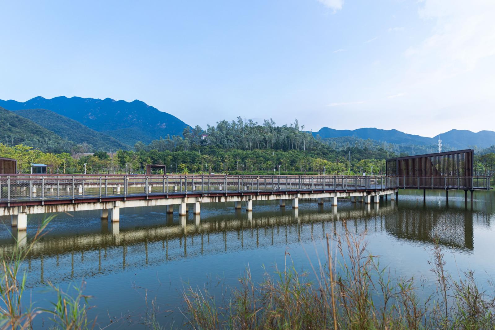 银叶树湿地公园