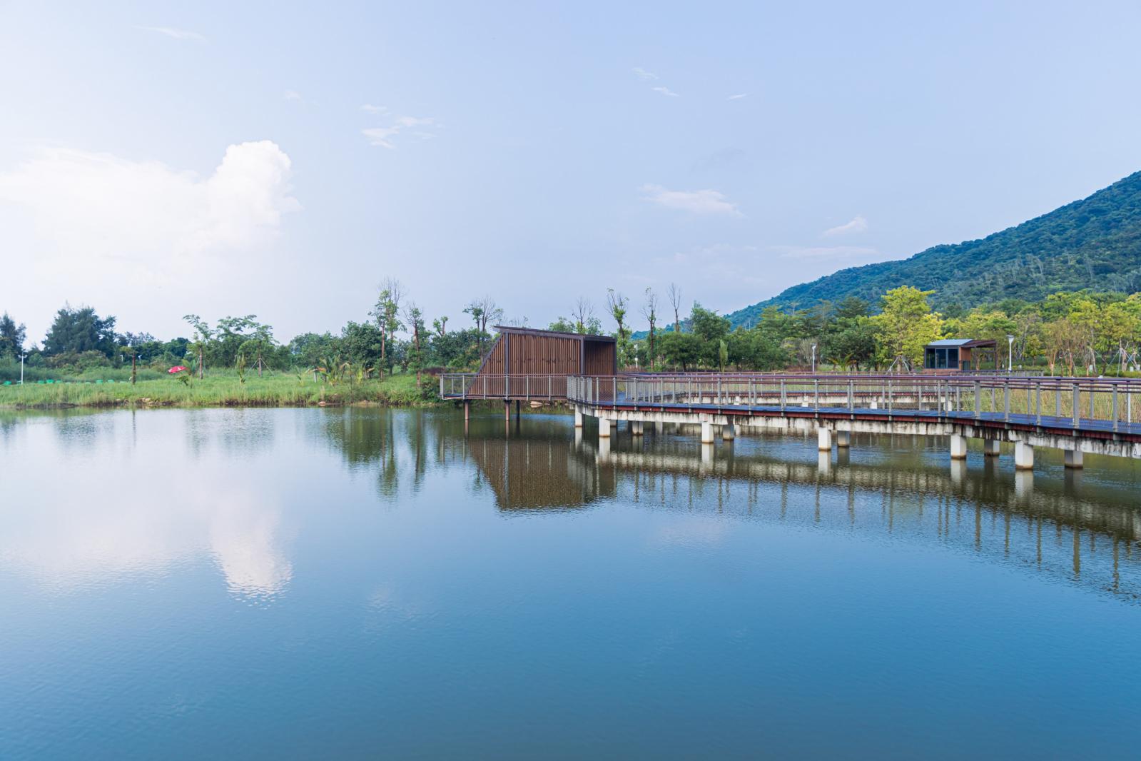 银叶树湿地公园