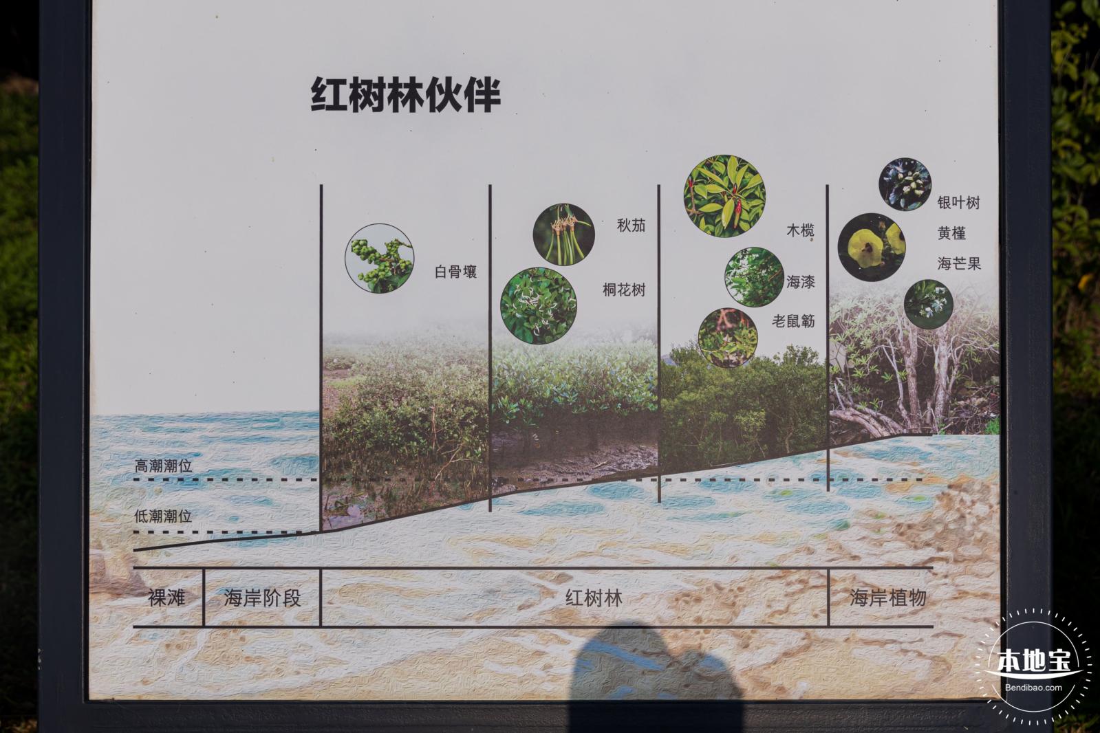 坝光盐灶古村