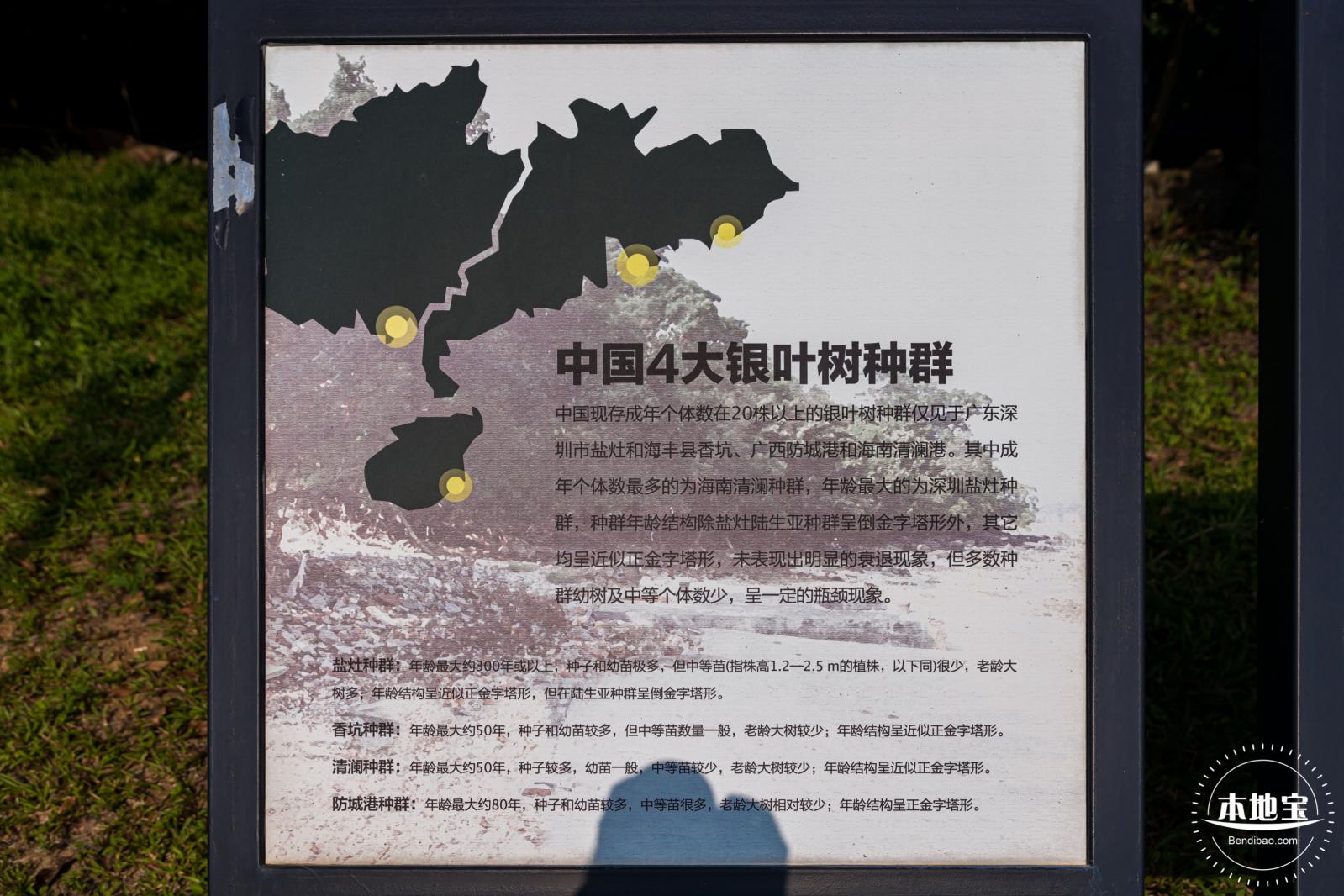 坝光盐灶古村