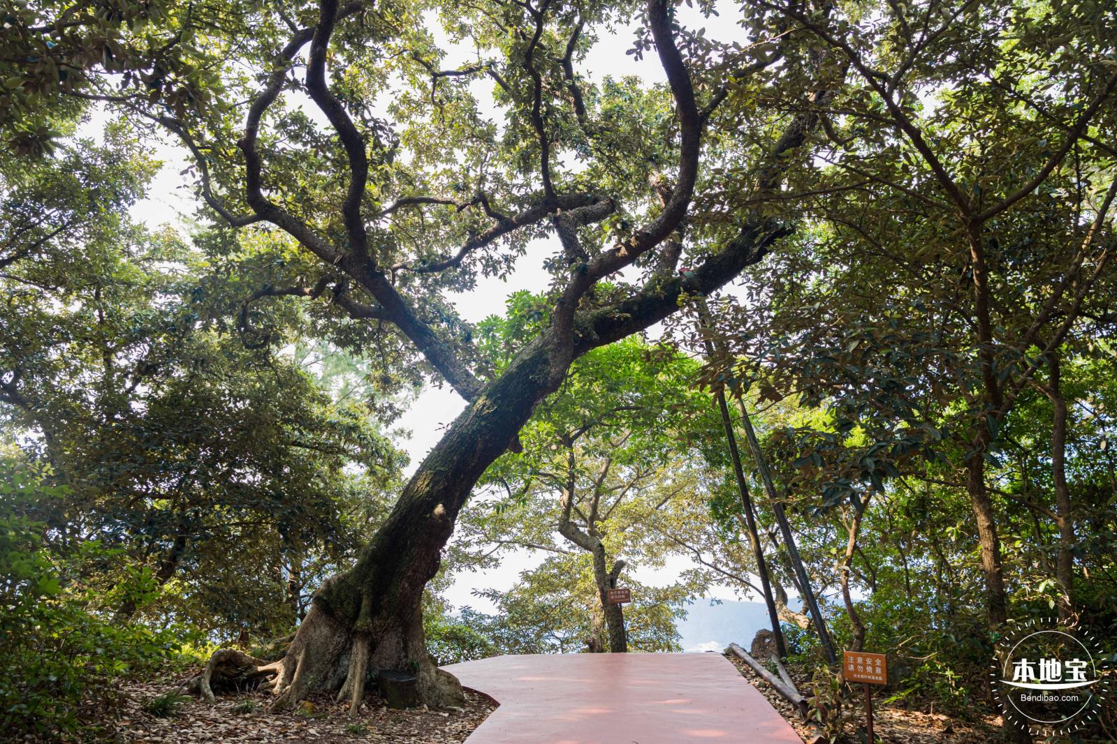 坝光盐灶古村