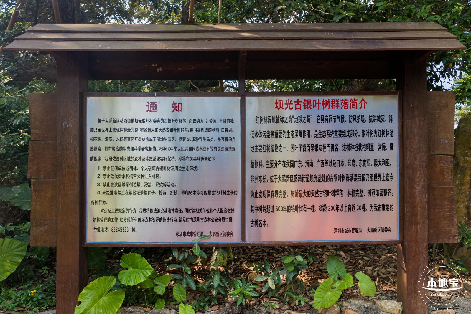 坝光盐灶古村