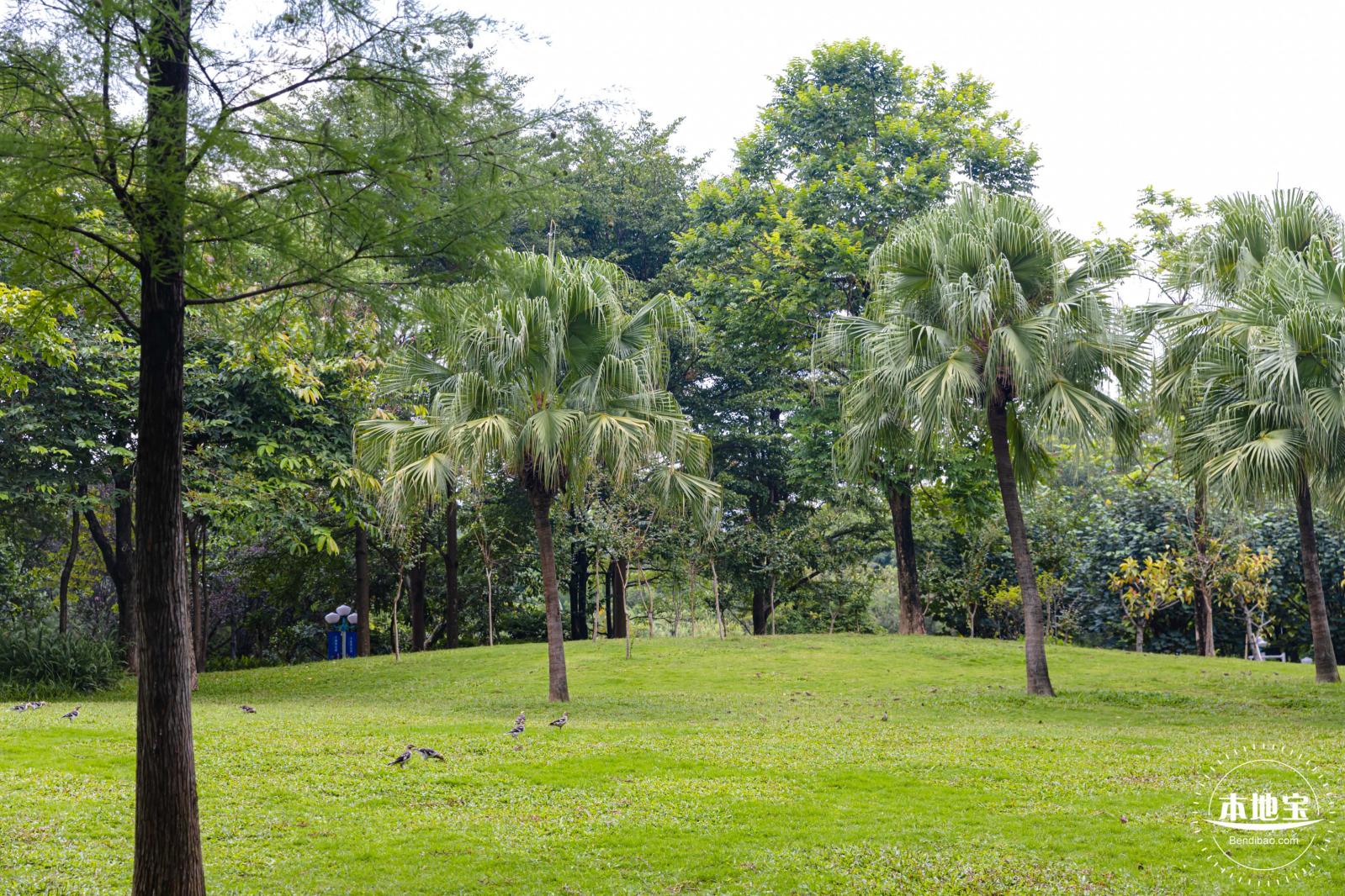 龙潭公园