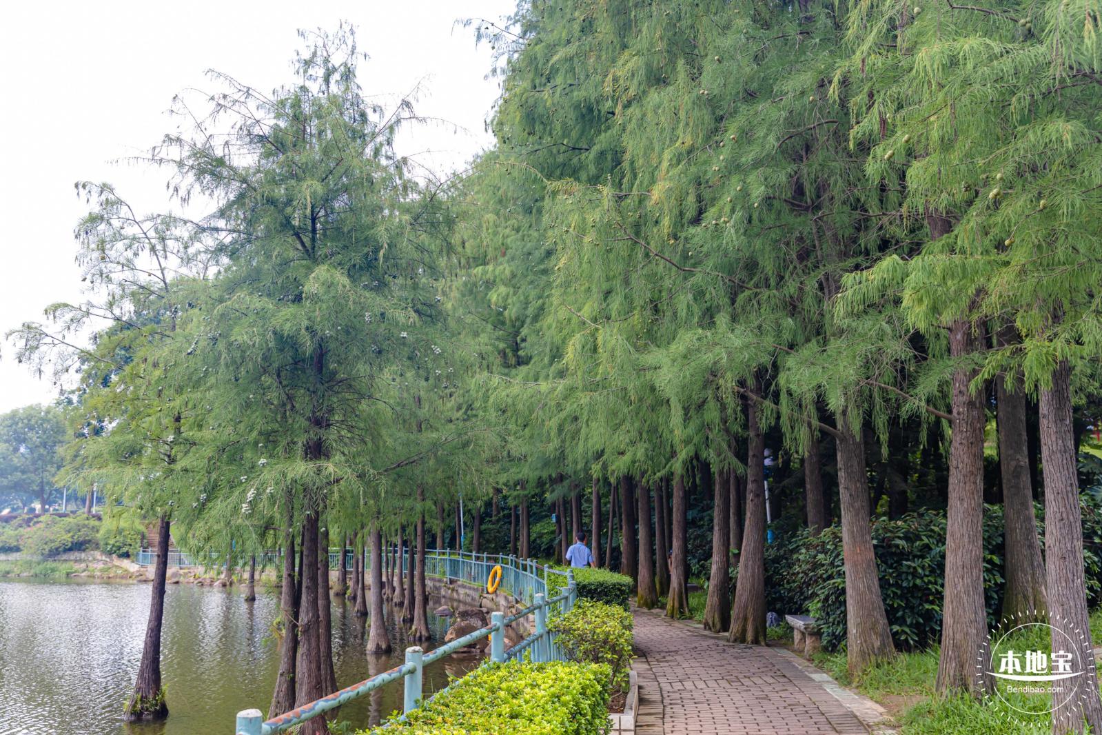 龙潭公园