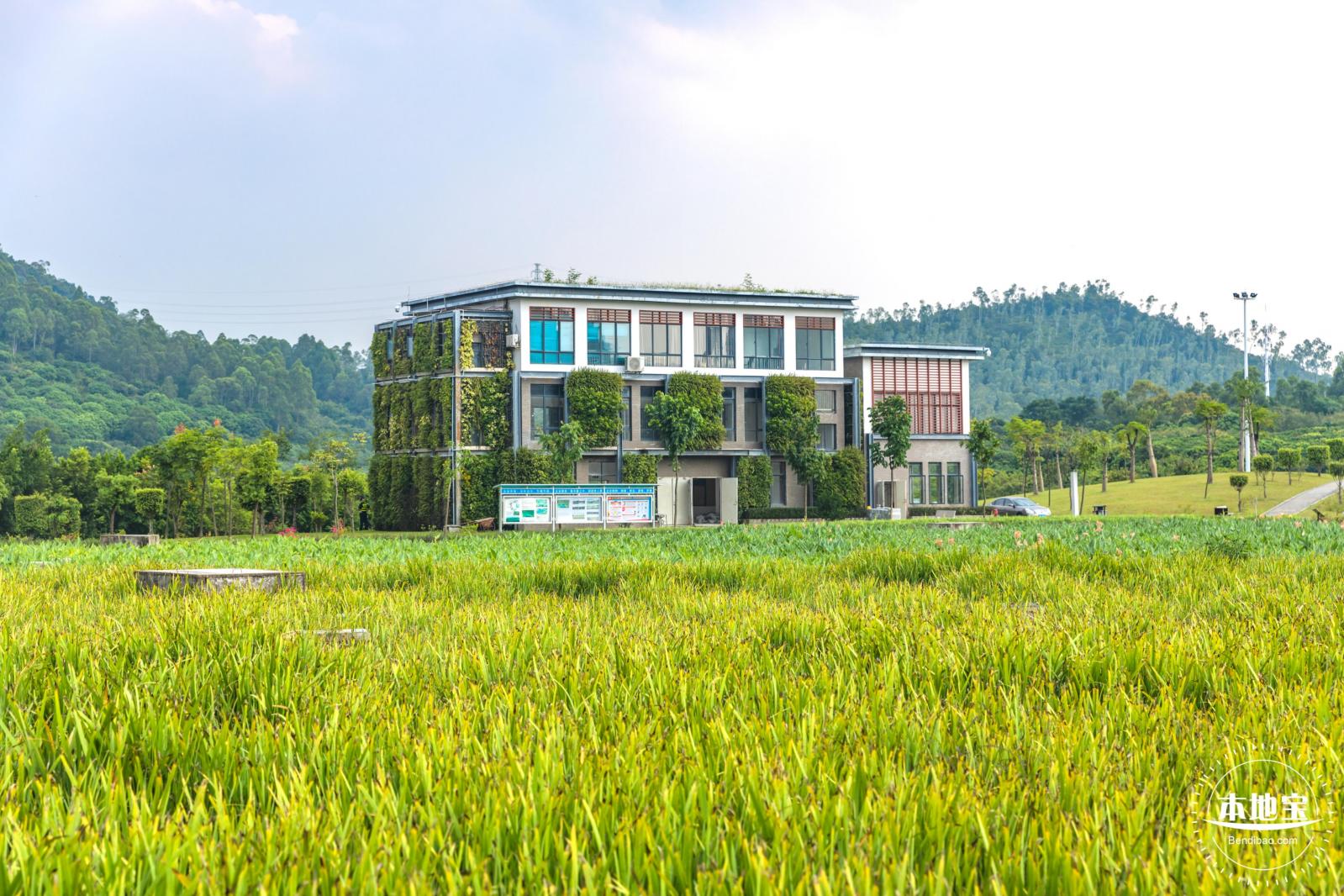 龙岗湿地公园