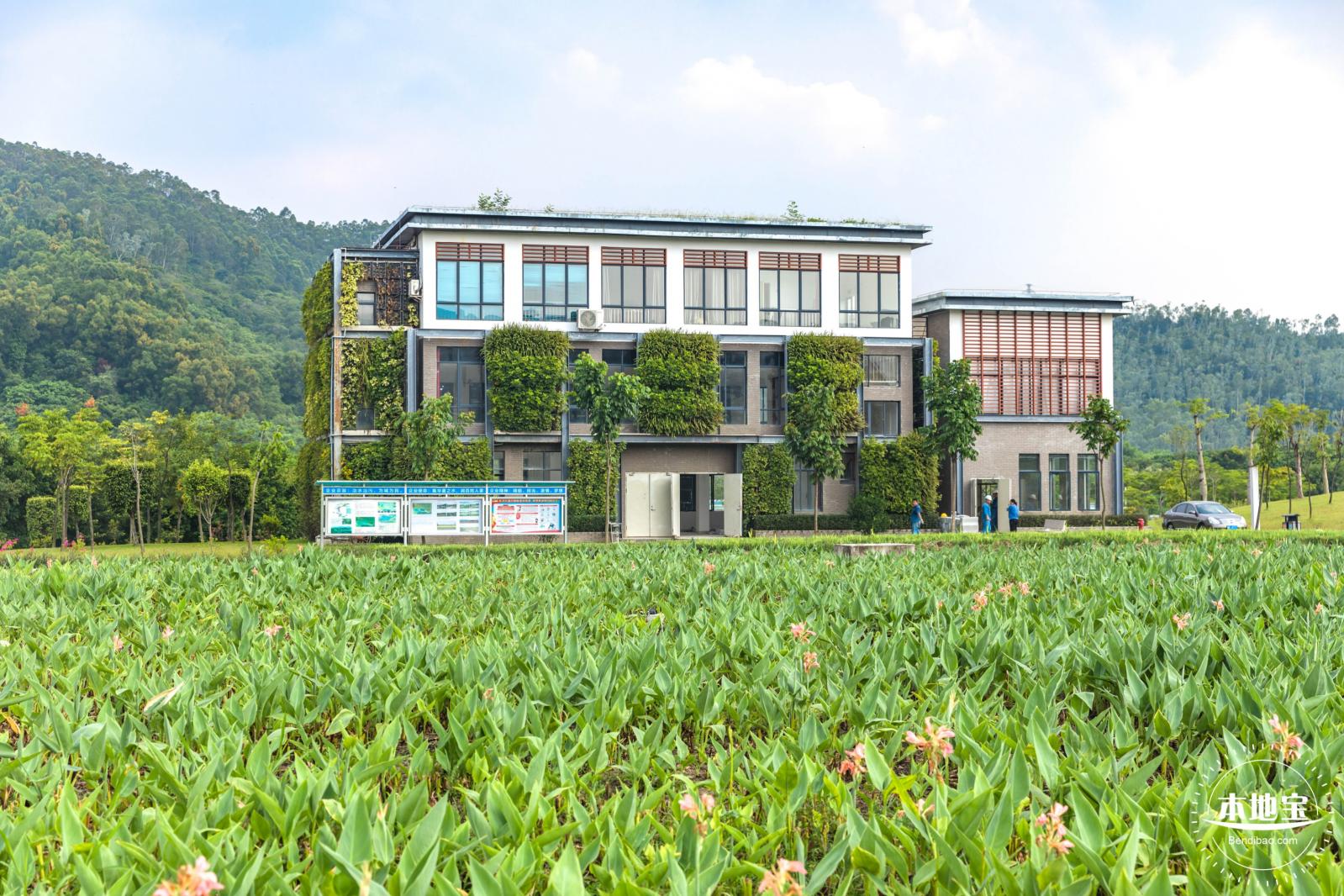 龙岗湿地公园