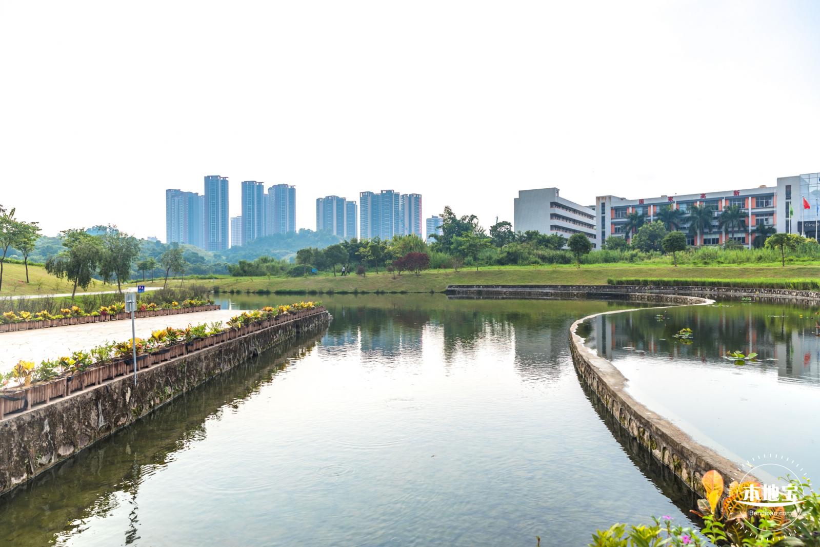 龙岗湿地公园
