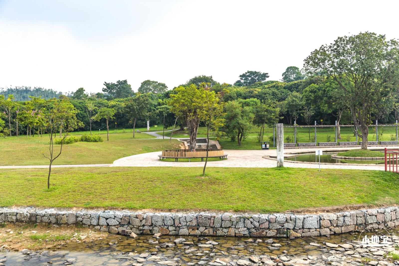 龙岗湿地公园