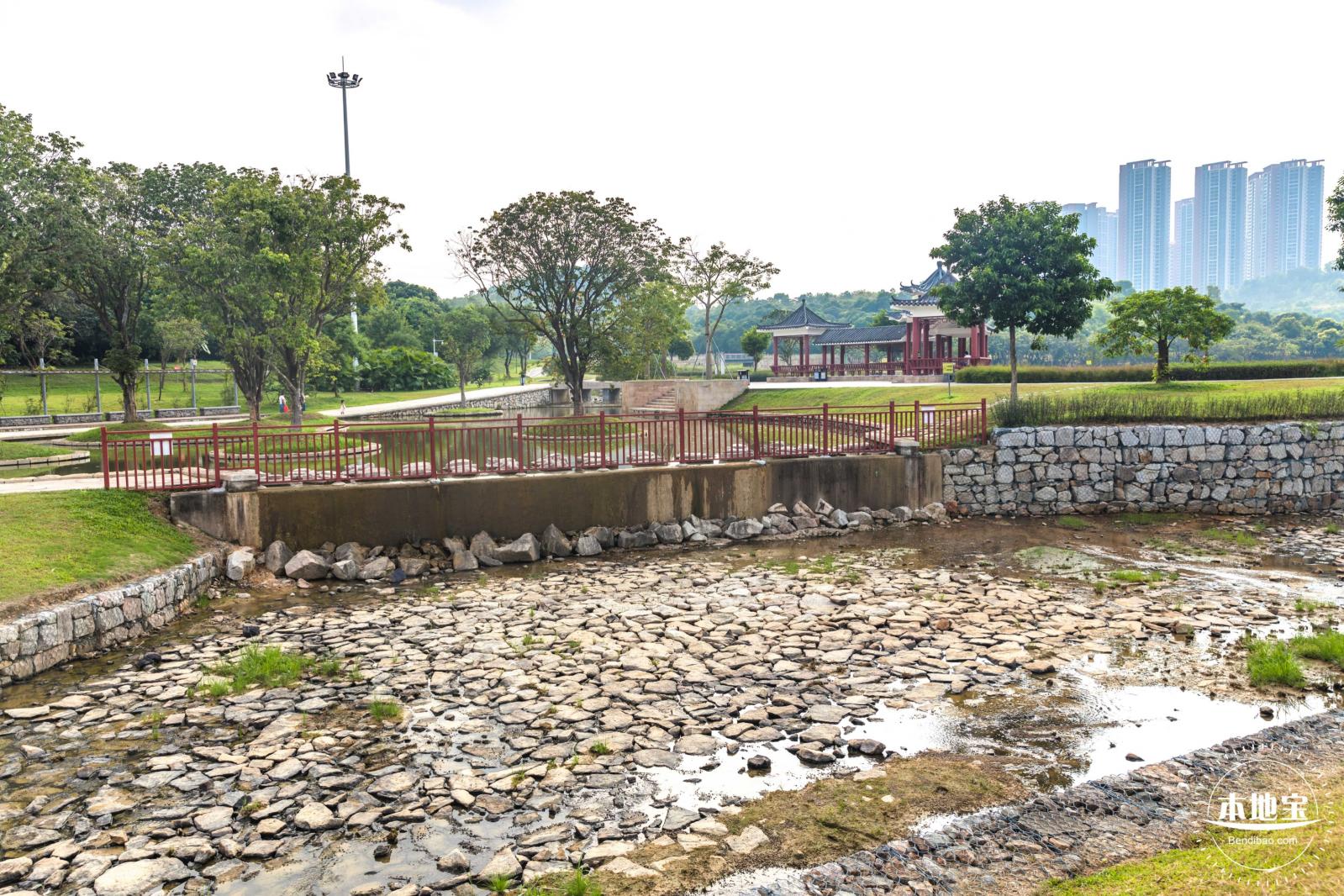 龙岗湿地公园