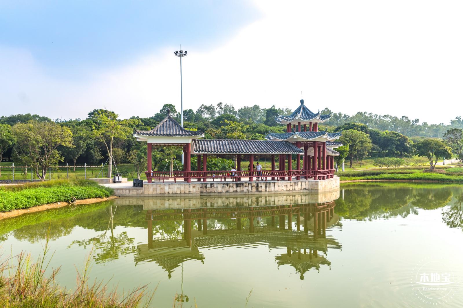 龙岗湿地公园