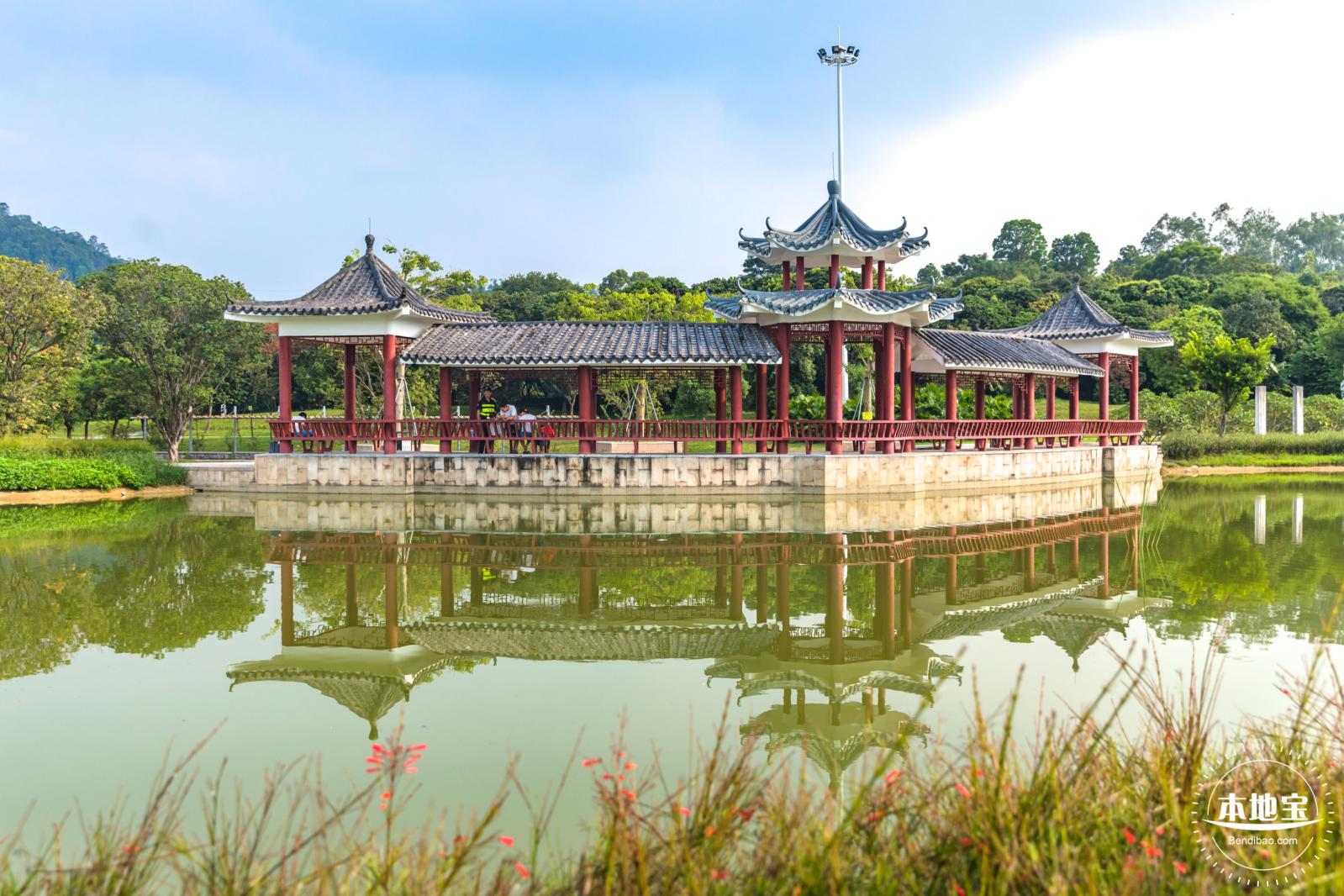 龙岗湿地公园
