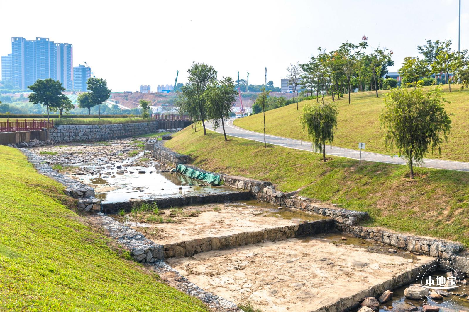 龙岗湿地公园