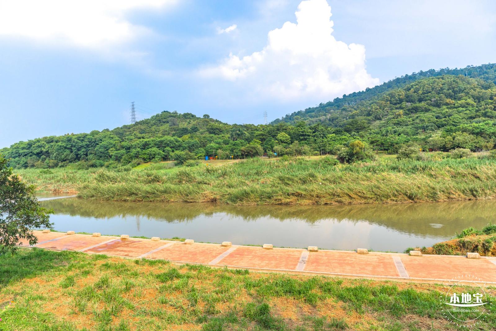 龙岗湿地公园