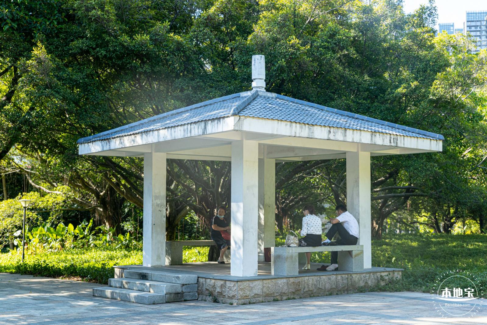 灵芝公园