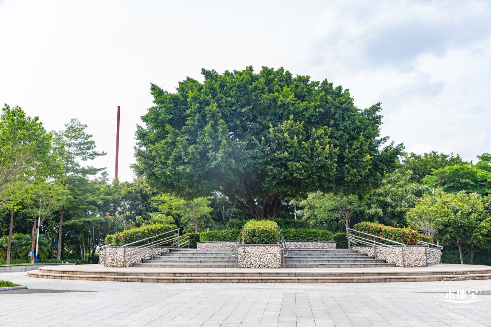 沙井公园