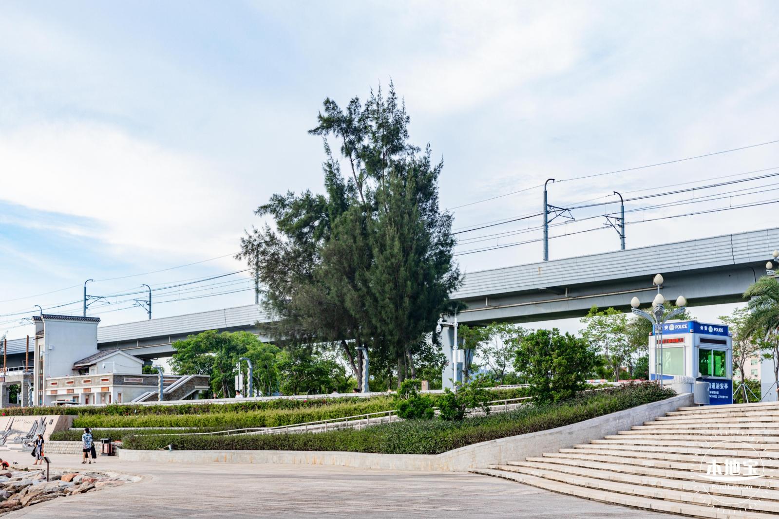 西湾红树林公园