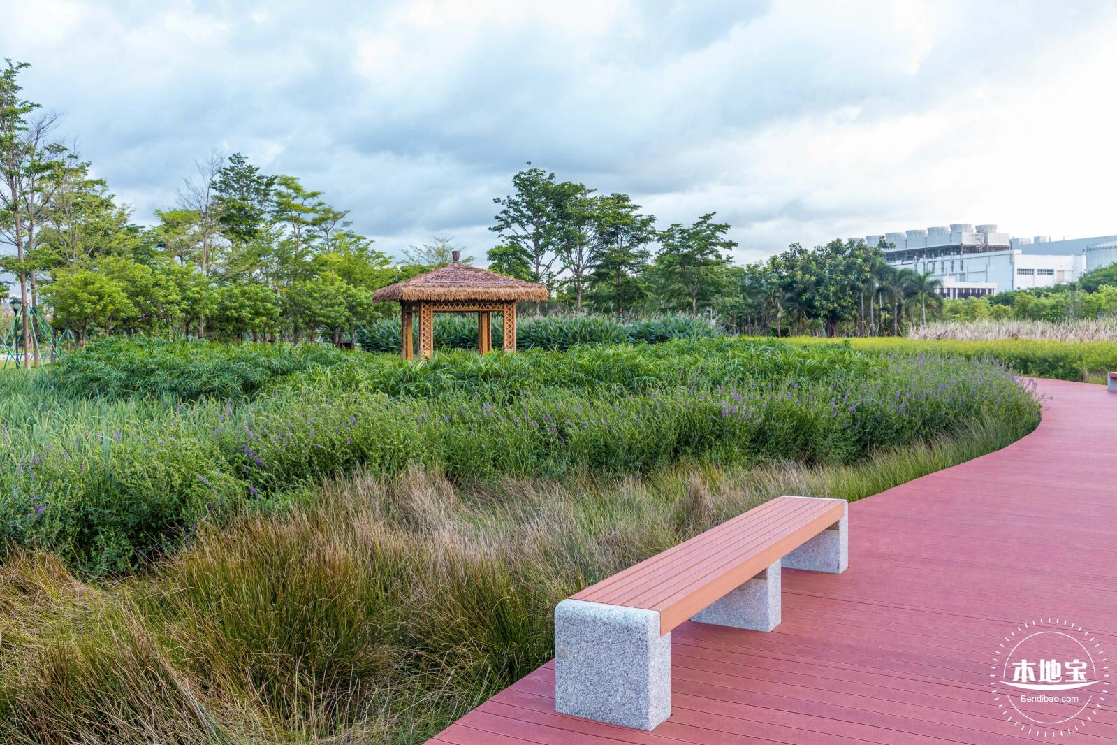 鹅颈水湿地公园